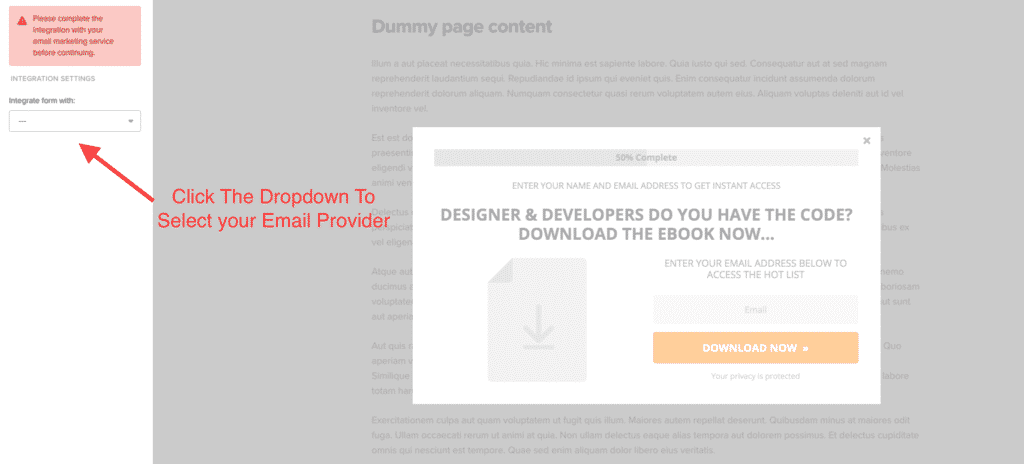 Integration form options OptimizeLeads