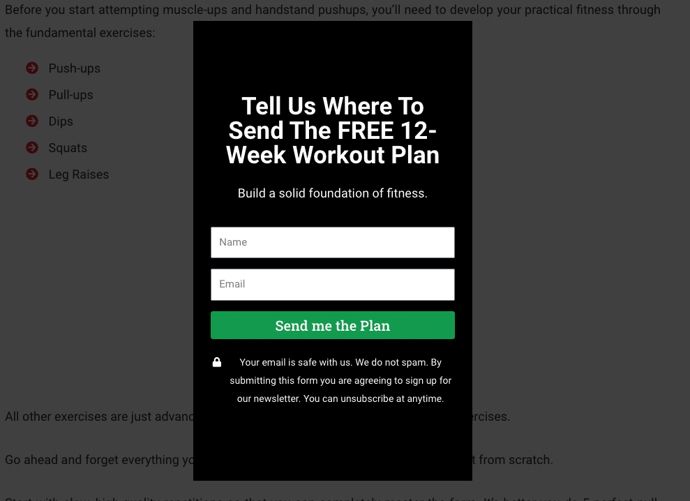 12 Week Workout Plan Lead magnet