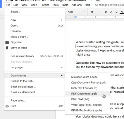 Download PDF Document